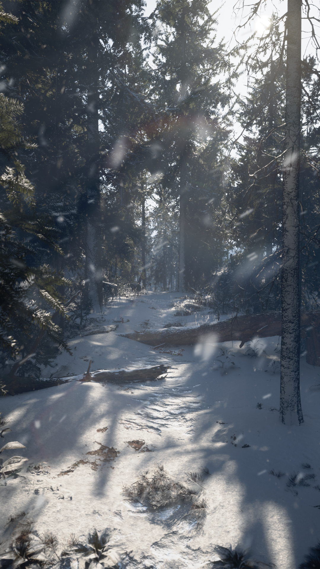 Winter's Edge