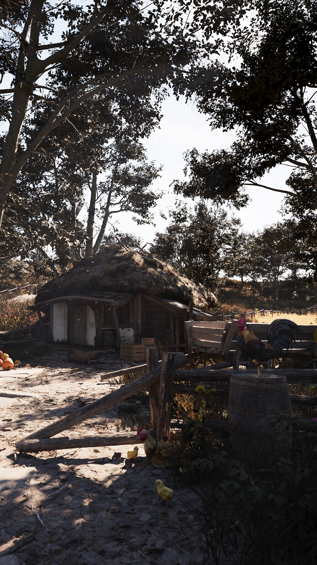 Duncan's Village